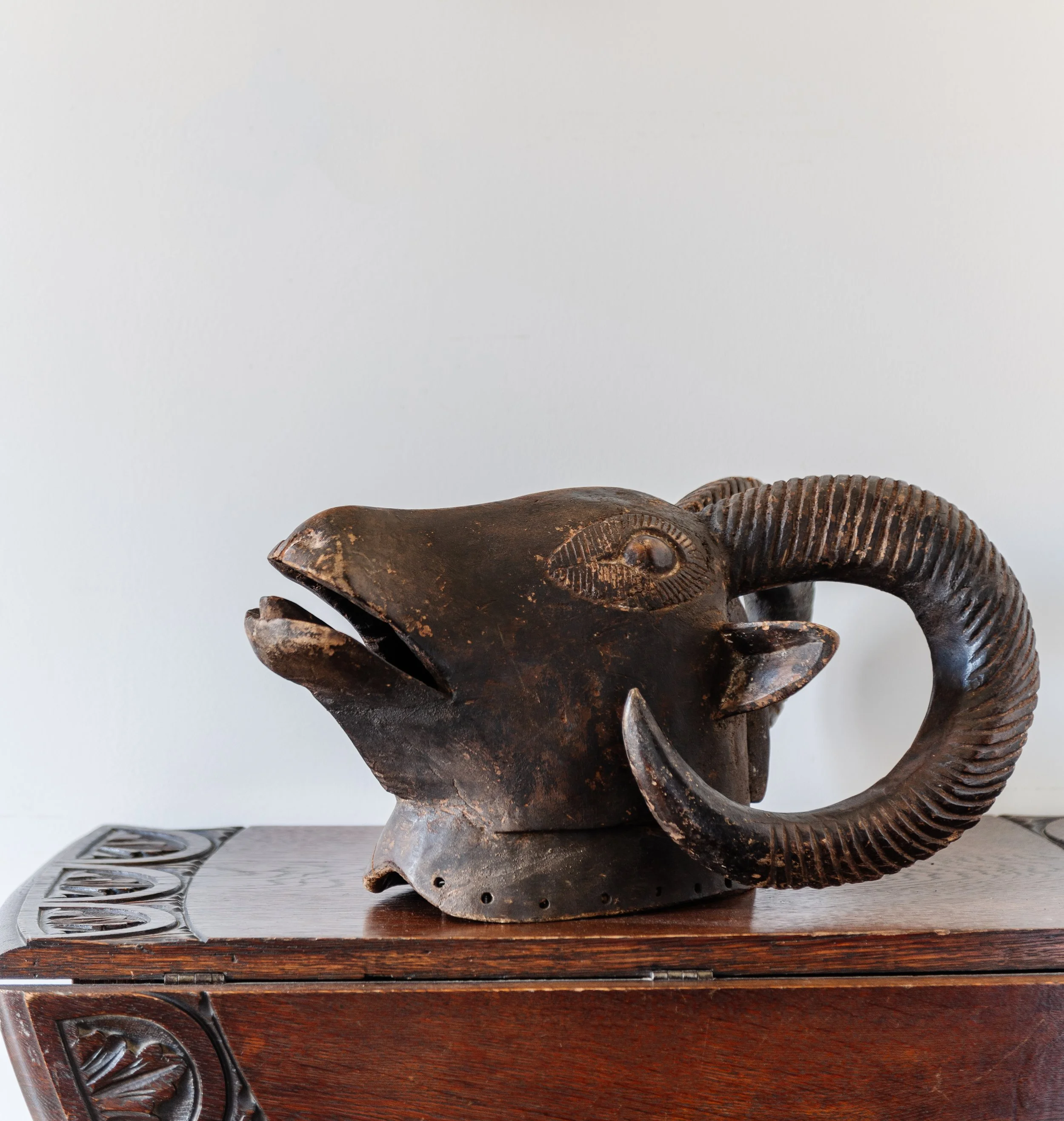 African Carved Ram Head — Proppe Shoppe